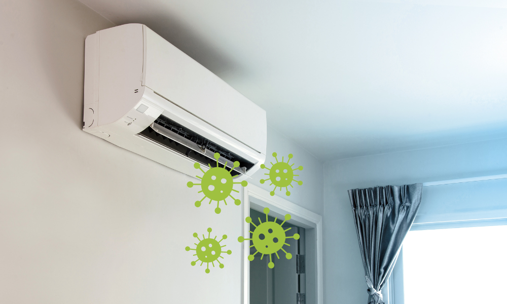 Can Air Conditioners Spread Mold Spores? Understanding the Risks - Best ...